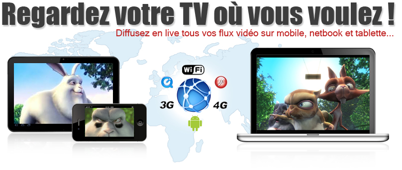 Regardez votre TV sur netbook, tablette et smartphone